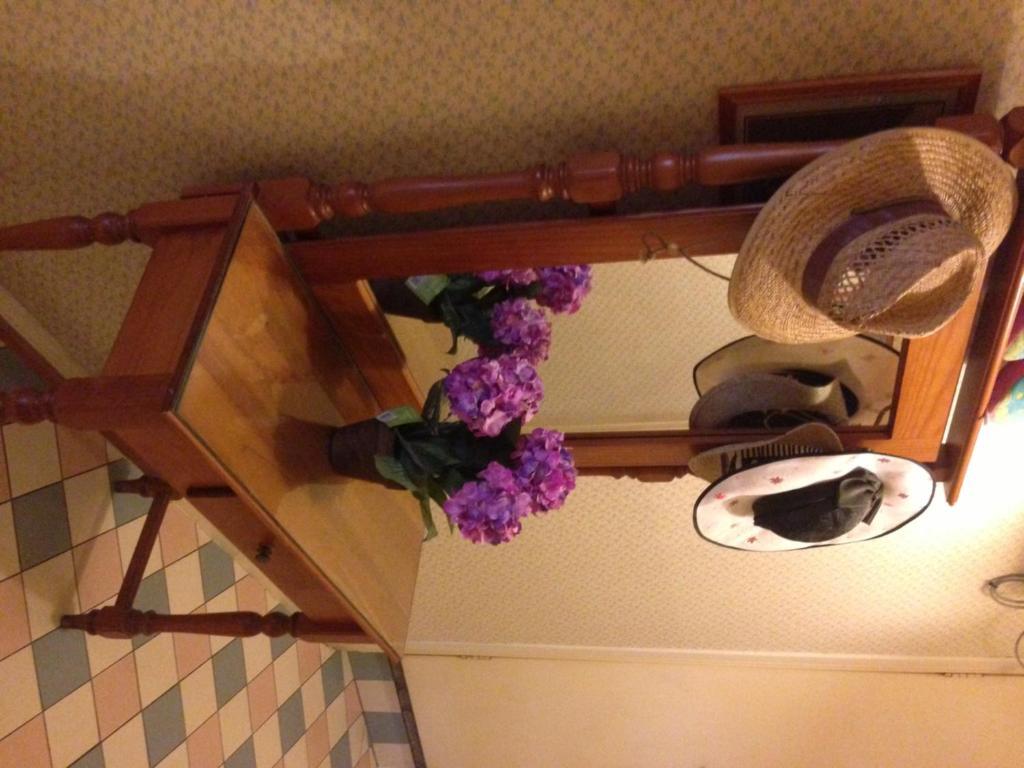 Annie'S Shandon Inn Brisbane Ngoại thất bức ảnh